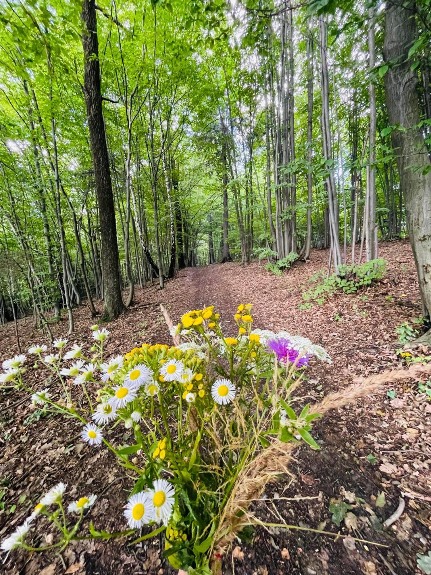 Wioska Jasia I Malgosi Izdebnik Exterior foto